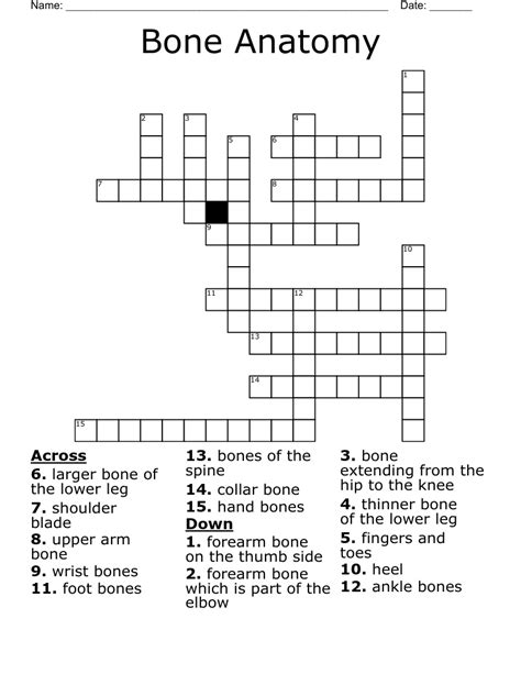 bone in the arm crossword clue|arm bone 6 answers.